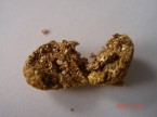イラワジ川で採集された砂金