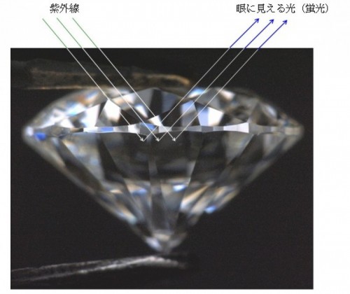 エッセー第七回:夏の風物詩 “蛍の光”と宝石の蛍光